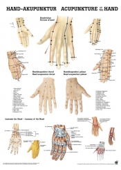 Lehrtafel «Handakupunktur» laminiert 