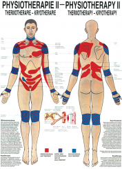 Anatomieposter «Thermotherapie» laminiert 
