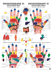 Anatomieposter «Reflexzonen Hand» laminiert 