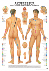 Lehrtafel «Akupressur» laminiert 