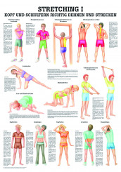 Lehrtafel «Stretching I» laminiert 