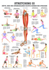 Lehrtafel «Stretching III» laminiert 