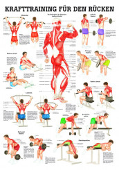 Lehrtafel «Krafttraining für den Rücken» laminiert 