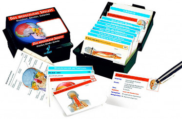 Lernkärtchen – Skelett 