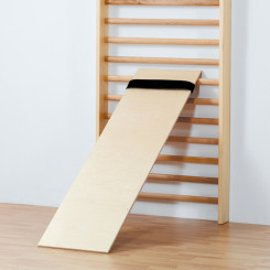 Schrägbrett zum Einhängen in Sprossenwand - CE - 